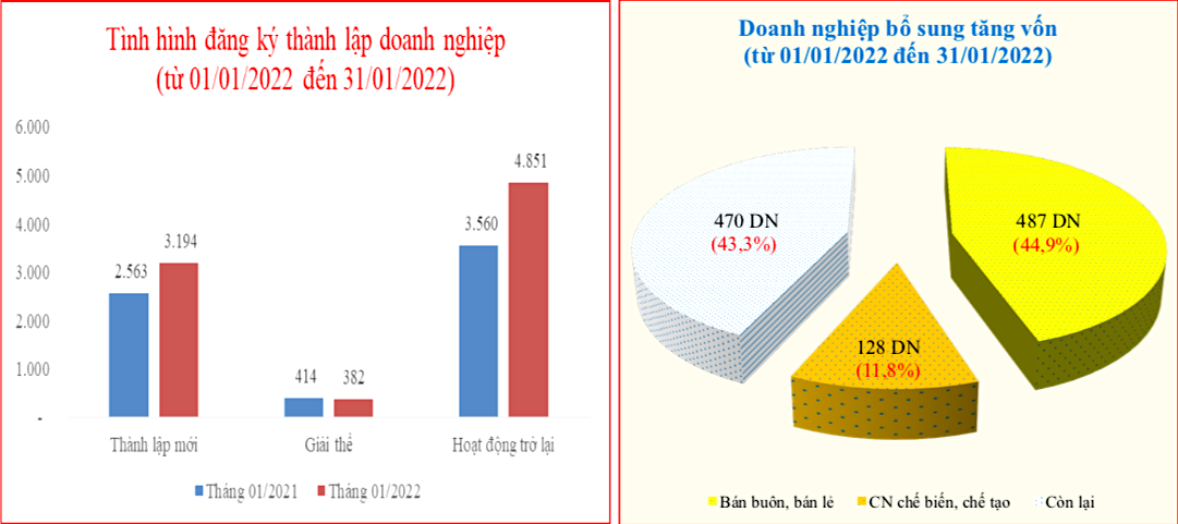 Tình hình đăng ký thành lập và bổ sung tăng vốn của các doanh nghiệp tại TP.HCM trong tháng đầu năm 2022 (Nguồn: SCT).