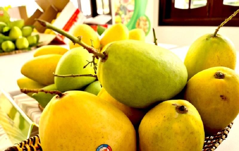 Xoài Cao Lãnh là đặc sản nổi tiếng của tỉnh Đồng Tháp. Ảnh: Nguyệt Ánh Xoài Cao Lãnh là đặc sản nổi tiếng của tỉnh Đồng Tháp. Ảnh: Nguyệt Ánh