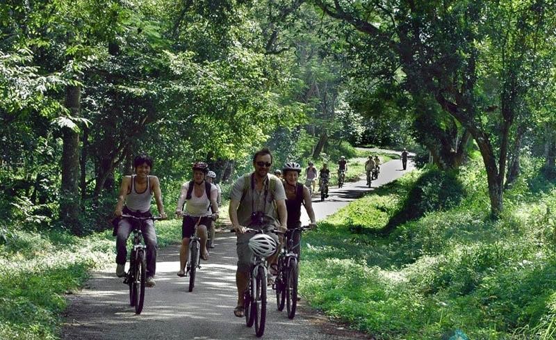 Rừng Cúc Phương với hệ sinh thái đa dạng được trao giải Công viên quốc gia hàng đầu châu Á. Rừng Cúc Phương với hệ sinh thái đa dạng được trao giải Công viên quốc gia hàng đầu châu Á.