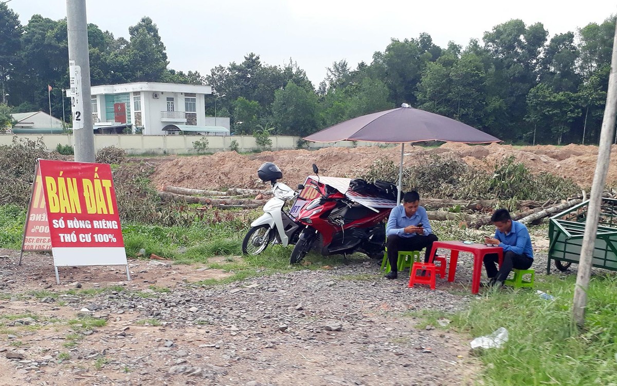 Nhiều người hái quả ngọt, những cũng không ít người ôm trái đắng khi đầu tư vào đất. Ảnh: Việt Dũng