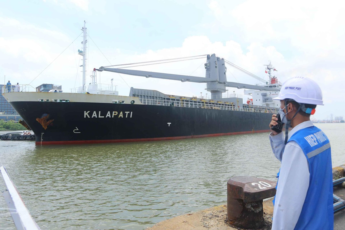 Đúng 10 giờ 25 phút ngày 6/5, tàu Kalapati chở hai đoàn tàu số 16, 17 từ Nhật Bản cập cảng Hiệp Phước,TP.HCM. Đúng 10 giờ 25 phút ngày 6/5, tàu Kalapati chở hai đoàn tàu số 16, 17 từ Nhật Bản cập cảng Hiệp Phước,TP.HCM.