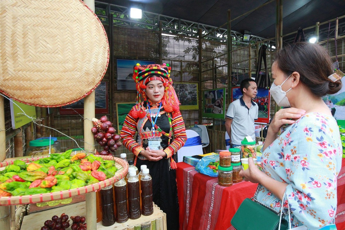 Khu vực trực tiếp giới thiệu những điểm du lịch 'không thể bỏ qua' của Hà Nội với sự tham gia của các hãng hàng không, các khu du lịch, doanh nghiệp du lịch và đại diện 9 tỉnh, thành phố bao gồm Yên Bái, An Giang, Khánh Hoà, Quảng Nam, Thừa Thiên Huế, Quảng Bình, Hà Giang, Lai Châu, Phú Thọ. Tại đây, du khách có cơ hội sử dụng nhiều tour du lịch độc lạ, nhiều chương trình khuyến mại hấp dẫn của các hãng hàng không. Khu vực trực tiếp giới thiệu những điểm du lịch 'không thể bỏ qua' của Hà Nội với sự tham gia của các hãng hàng không, các khu du lịch, doanh nghiệp du lịch và đại diện 9 tỉnh, thành phố bao gồm Yên Bái, An Giang, Khánh Hoà, Quảng Nam, Thừa Thiên Huế, Quảng Bình, Hà Giang, Lai Châu, Phú Thọ. Tại đây, du khách có cơ hội sử dụng nhiều tour du lịch độc lạ, nhiều chương trình khuyến mại hấp dẫn của các hãng hàng không.