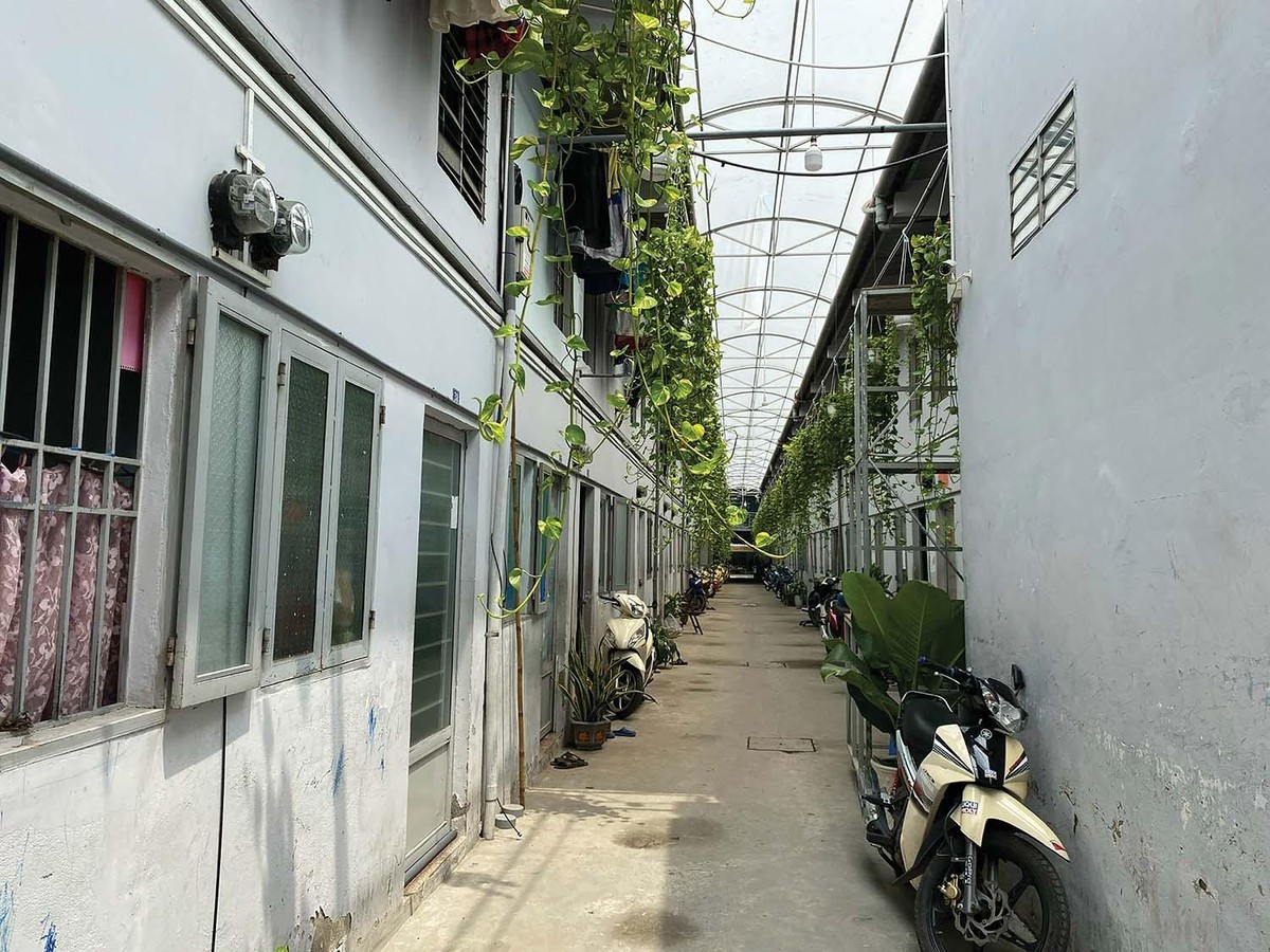 Trái ngược với hình ảnh nhếch nhác, Khu lưu trú tập thể công nhân số 26 được quy hoạch bài bản