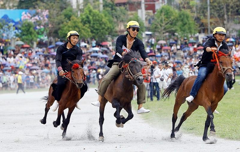 Cuộc đua bắt đầu, mỗi lượt đua chia thành 4 ngựa thi đấu 5 lượt chạy quanh sân tính thành tích thời gian để vào vòng chung kết Cuộc đua bắt đầu, mỗi lượt đua chia thành 4 ngựa thi đấu 5 lượt chạy quanh sân tính thành tích thời gian để vào vòng chung kết