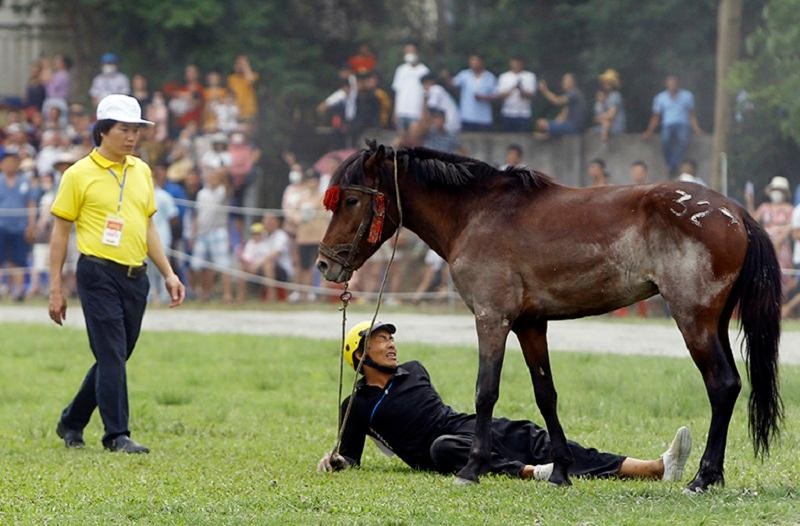 Ngay từ những lượt đua đầu tiên đã có không ít ngựa và người bị té ngã và phải dừng cuộc đua ngay lập tức Ngay từ những lượt đua đầu tiên đã có không ít ngựa và người bị té ngã và phải dừng cuộc đua ngay lập tức