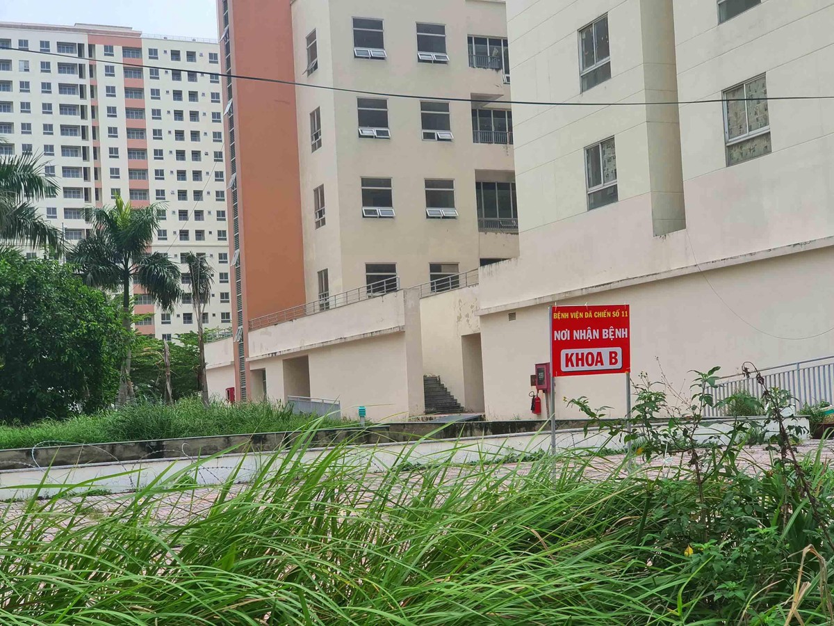 Nay càng ảm đạm hơn khi nơi đây trở thành bệnh viện dã chiến Nay càng ảm đạm hơn khi nơi đây trở thành bệnh viện dã chiến