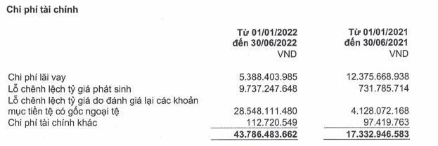 Cơ cấu chi phí tài chính của DRI trong 6 tháng đầu năm 2022 (Nguồn: DRI). Cơ cấu chi phí tài chính của DRI trong 6 tháng đầu năm 2022 (Nguồn: DRI).