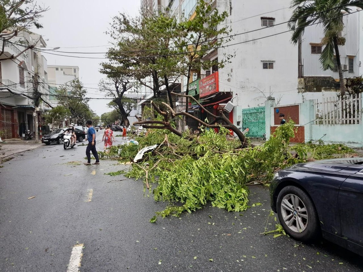 Thành phố Đà Nẵng không ghi nhận thiệt hại về người sau bão.