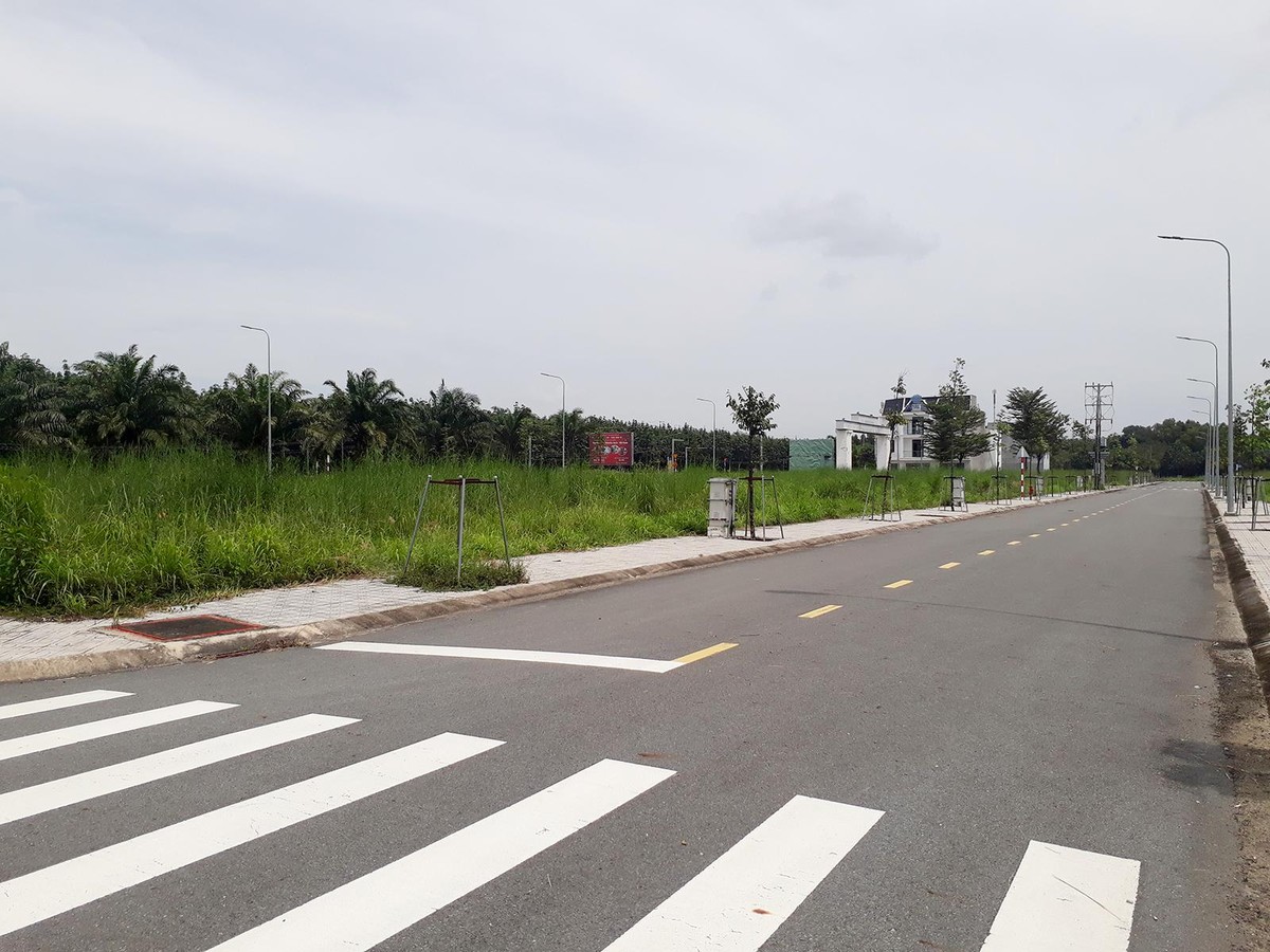 Nhiều lô đất tại dự án Khu nhà ở Tân Lập để cỏ mọc um tùm. Ảnh: Việt Dũng Nhiều lô đất tại dự án Khu nhà ở Tân Lập để cỏ mọc um tùm. Ảnh: Việt Dũng