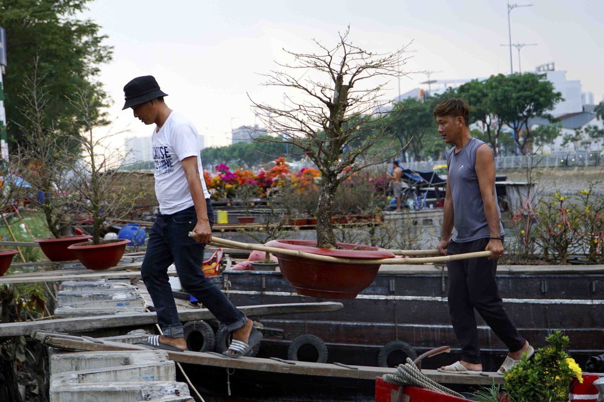 Cây, hoa được vận chuyển lên bến