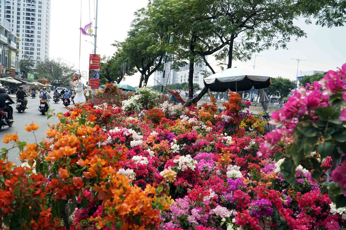 Trên đường ngập tràn các loại hoa tươi khoe sắc, thu hút ánh nhìn của người đi đường.