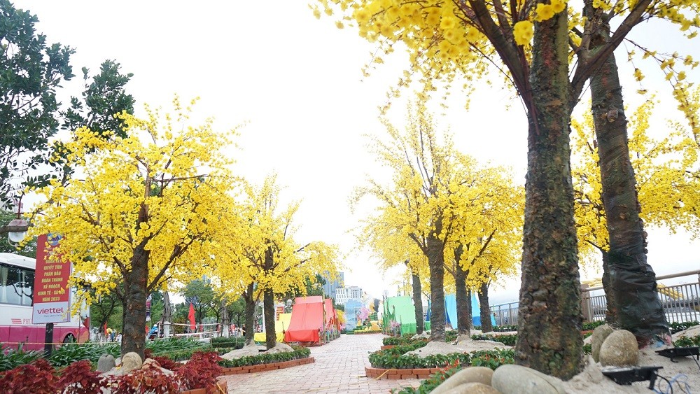 Thành phố Đà Nẵng đầu tư hơn 14 tỷ đồng cho Dự án Trang trí hoa - điện chiếu sáng phục vụ Tết năm 2023. Thành phố Đà Nẵng đầu tư hơn 14 tỷ đồng cho Dự án Trang trí hoa - điện chiếu sáng phục vụ Tết năm 2023.