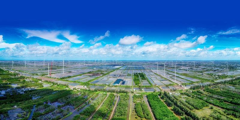 Nền kinh tế Việt Nam sẽ vận hành theo phương thức của kinh tế số, kinh tế xanh, kinh tế tuần hoàn; khoa học, công nghệ và đổi mới sáng tạo là động lực tăng trưởng chủ yếu Nền kinh tế Việt Nam sẽ vận hành theo phương thức của kinh tế số, kinh tế xanh, kinh tế tuần hoàn; khoa học, công nghệ và đổi mới sáng tạo là động lực tăng trưởng chủ yếu