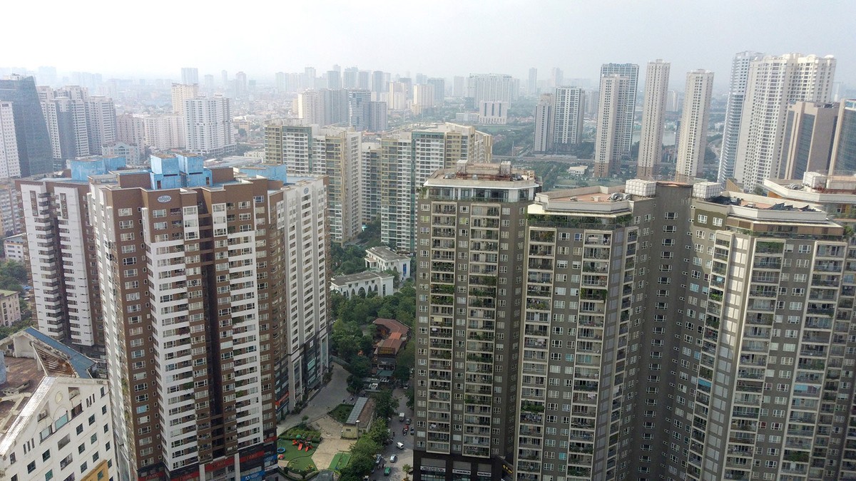 Ảnh: Dũng Minh Ảnh: Dũng Minh