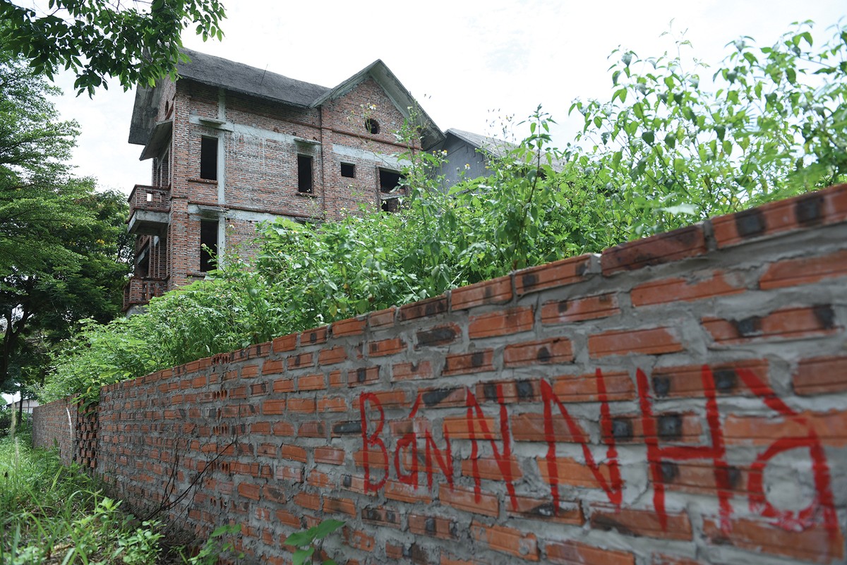 Thị trường tỉnh và vùng ven không còn sốt nóng. Ảnh: Dũng Minh Thị trường tỉnh và vùng ven không còn sốt nóng. Ảnh: Dũng Minh