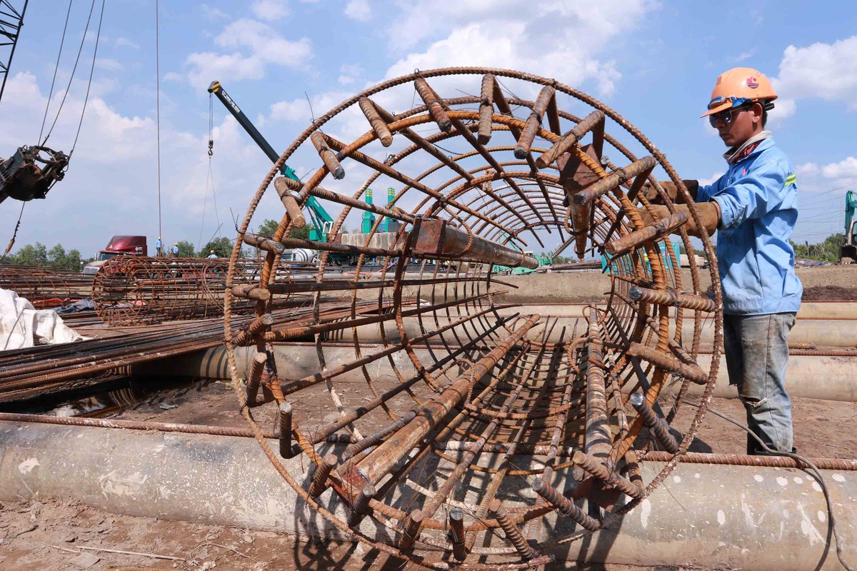 Những chiếc lồng thép được hàn chắc chắn. Những chiếc lồng thép được hàn chắc chắn.