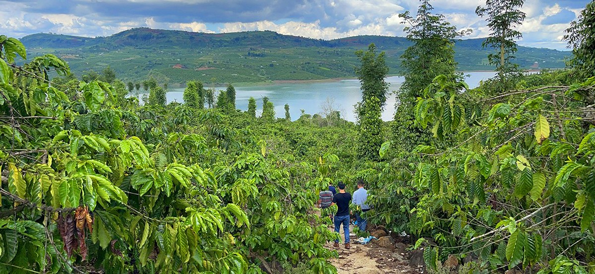 Những chuyến đi xem bất động sản thành “tour du lịch 0 đồng”. Ảnh: Lê Toàn Những chuyến đi xem bất động sản thành “tour du lịch 0 đồng”. Ảnh: Lê Toàn