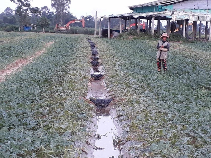 Công ty Sông Trà tố Công ty Thiên Sơn không bàn giao mặt bằng sạch, nhiều vị trí đang tranh chấp với người dân.