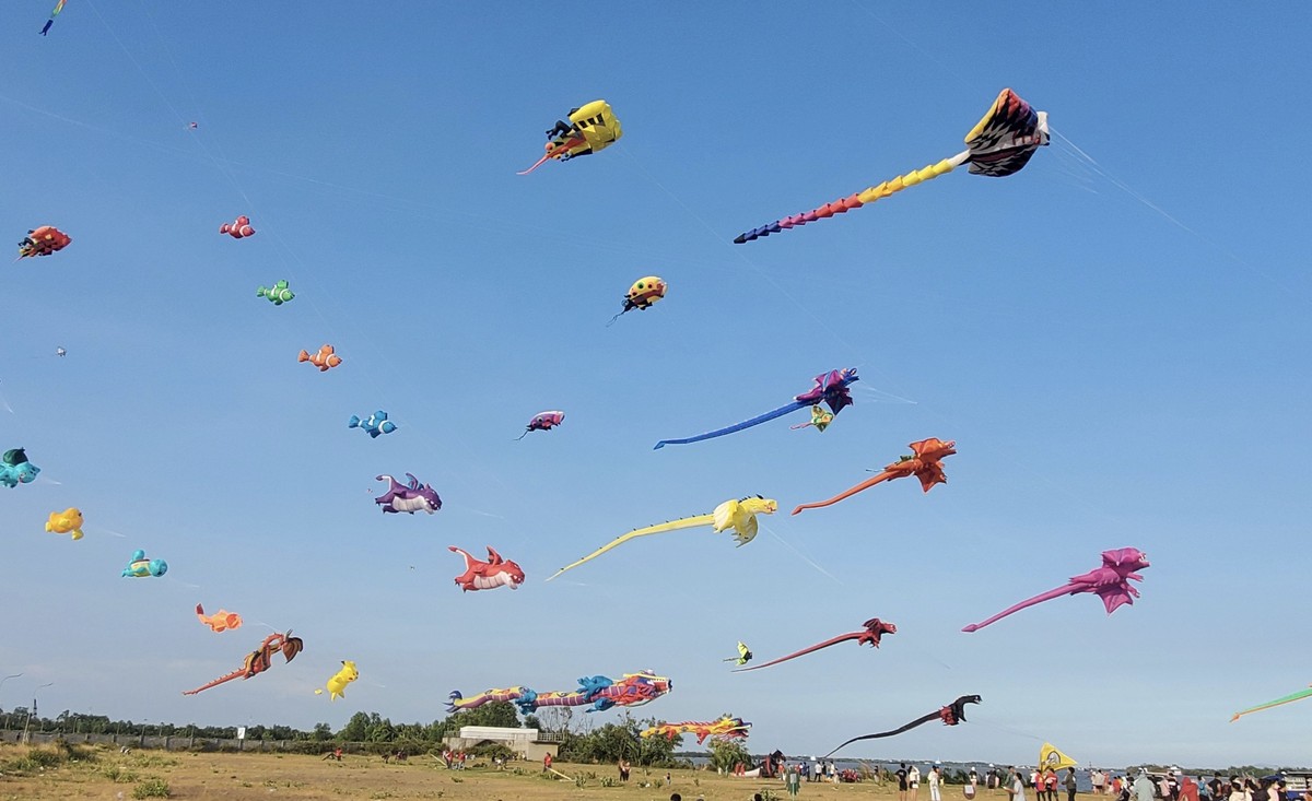 Lễ hội có sự tham gia của 1.000 chiếc diều của các câu lạc bộ, hội nhóm chơi diều các tỉnh phía Nam.