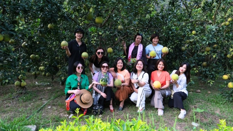 Du khách check-in tại vườn bưởi. (Ảnh: Hồ Hạ) Du khách check-in tại vườn bưởi. (Ảnh: Hồ Hạ)