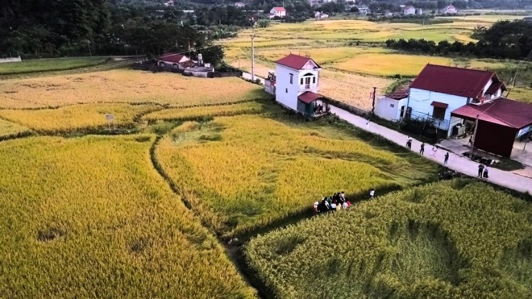 Cánh đồng lúa chín bên chân núi Mã Yên. (Ảnh: Hồ Hạ) Cánh đồng lúa chín bên chân núi Mã Yên. (Ảnh: Hồ Hạ)