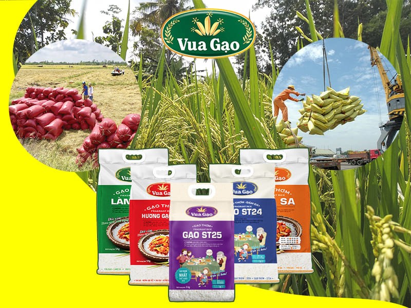 Trung tâm liên kết sản xuất chế biến và tiêu thụ sản phẩm nông nghiệp ĐBSCL tại TP.Cần Thơ góp phần hình thành chuỗi sản xuất liên kết gắn với 3 nhà (nhà nông nhà sản xuất và doanh nghiệp xuất nhập khẩu Trung tâm liên kết sản xuất chế biến và tiêu thụ sản phẩm nông nghiệp ĐBSCL tại TP.Cần Thơ góp phần hình thành chuỗi sản xuất liên kết gắn với 3 nhà (nhà nông nhà sản xuất và doanh nghiệp xuất nhập khẩu