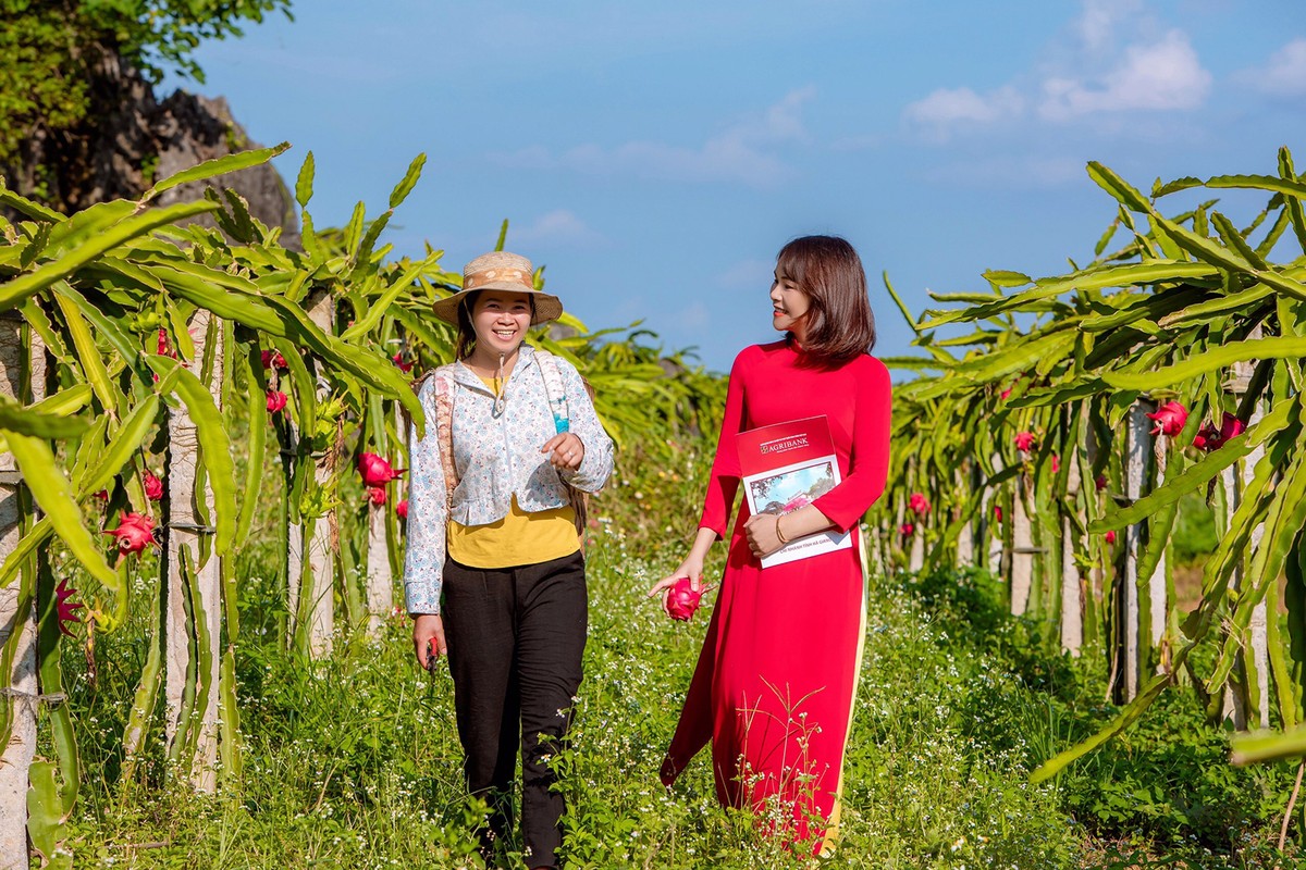 Agribank là ngân hàng thương mại Nhà nước hàng đầu trong việc triển khai chính sách tam nông của Chính phủ