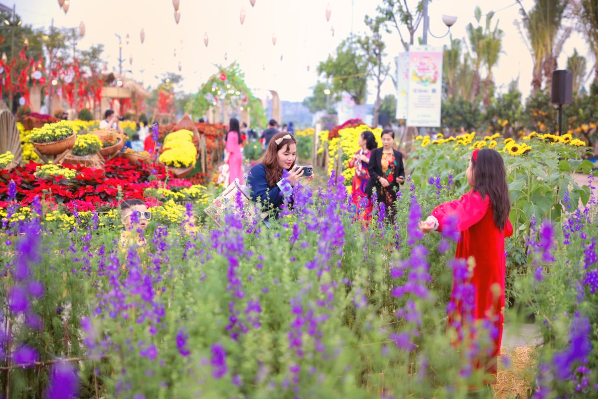 Hoa xuân khoe sắc gợi sự trù phú, sung túc trong mùa Tết - Ảnh: CHÍ LINH Hoa xuân khoe sắc gợi sự trù phú, sung túc trong mùa Tết - Ảnh: CHÍ LINH