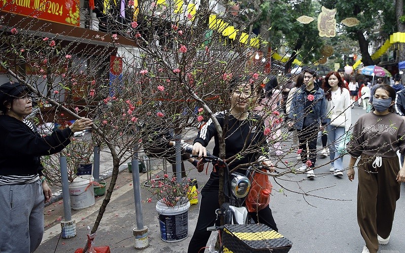 Một cành đào như thế này có giá khoảng từ 400-800.000 đồng Một cành đào như thế này có giá khoảng từ 400-800.000 đồng