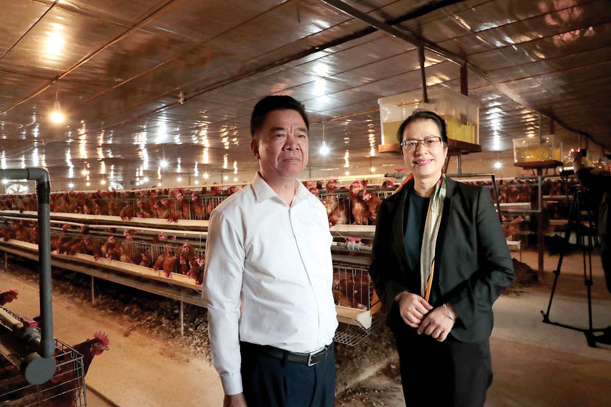 Bà Nguyễn Thị Phượng - Phó tổng giám đốc Agribank và ông Nguyễn Trung Kiên - Giám đốc Agribank Điện Biên thăm trang trại gà của Công ty Huy Toan Bà Nguyễn Thị Phượng - Phó tổng giám đốc Agribank và ông Nguyễn Trung Kiên - Giám đốc Agribank Điện Biên thăm trang trại gà của Công ty Huy Toan