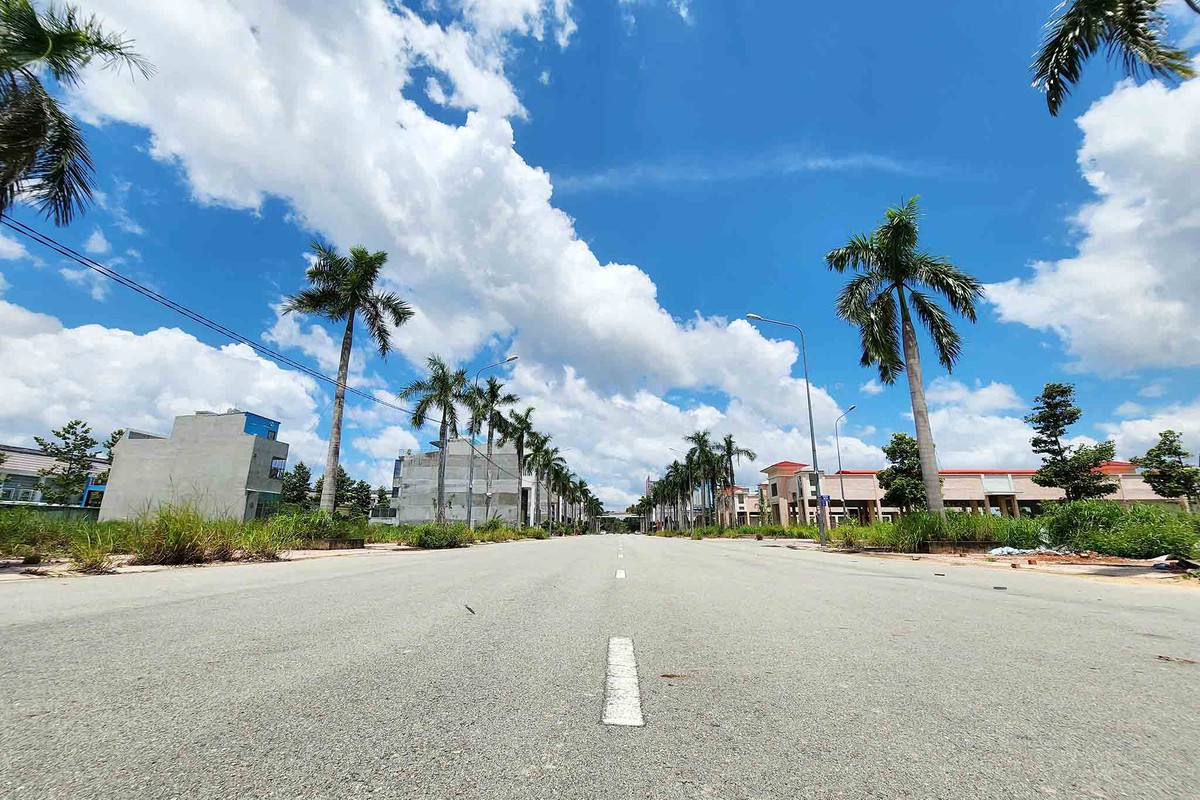 Dự án có quy mô gần 14 ha, do Công ty cổ phần Đầu tư và Phát triển Thuận Lợi (thuộc Kim Oanh Group) làm chủ đầu tư. Dự án có quy mô gần 14 ha, do Công ty cổ phần Đầu tư và Phát triển Thuận Lợi (thuộc Kim Oanh Group) làm chủ đầu tư.