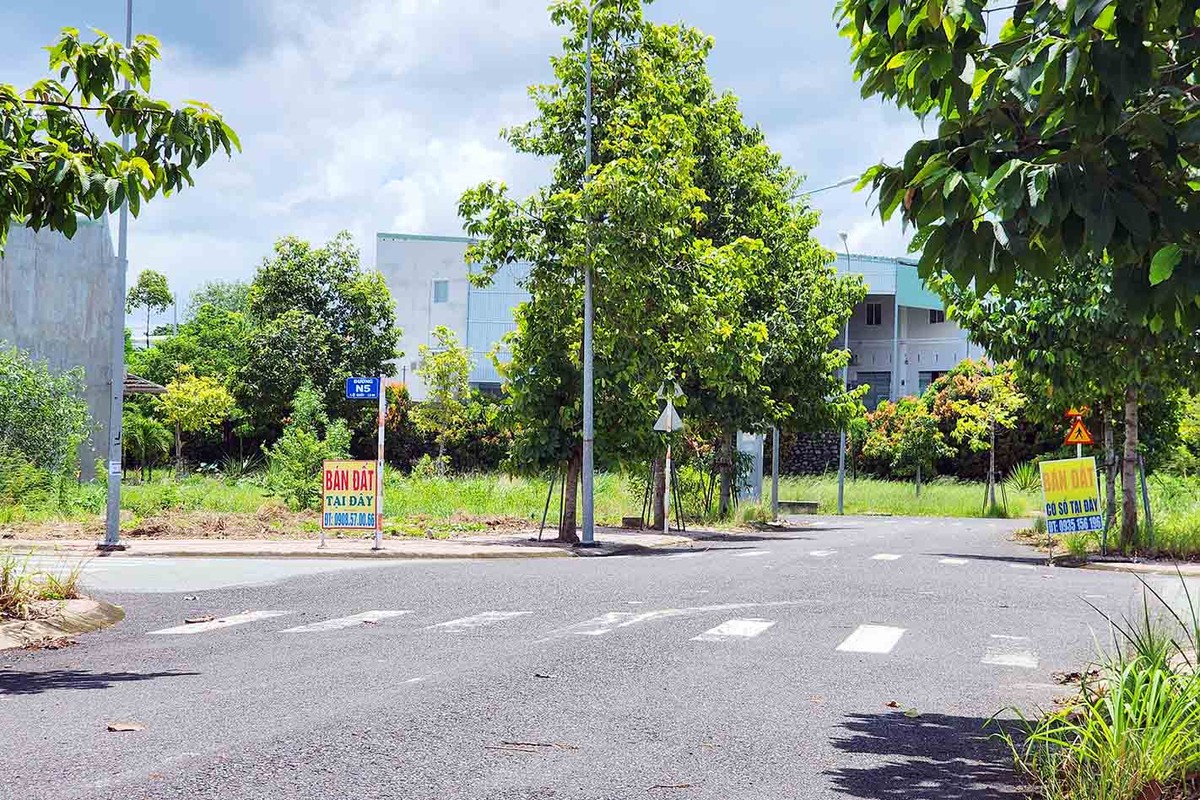 Do không có nhu cầu ở nên những lô đất ở đây chủ yếu được nhà đầu tư mua để chờ tăng giá rồi bán lại. Do không có nhu cầu ở nên những lô đất ở đây chủ yếu được nhà đầu tư mua để chờ tăng giá rồi bán lại.