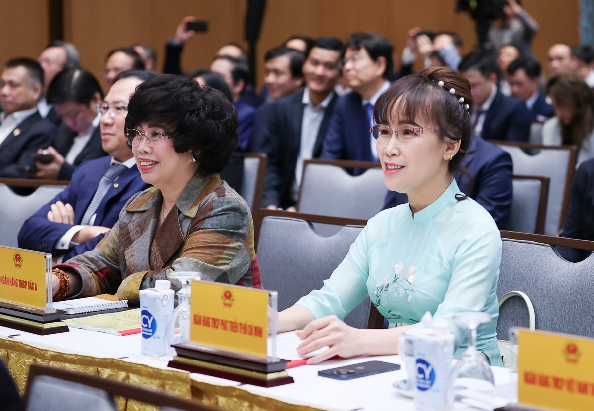 Bà Nguyễn Thị Phương Thảo cho rằng thời điểm này Việt Nam đang đứng trước cơ hội tăng trưởng lớn vớinhững bước tiến dài cho nền kinh tế.