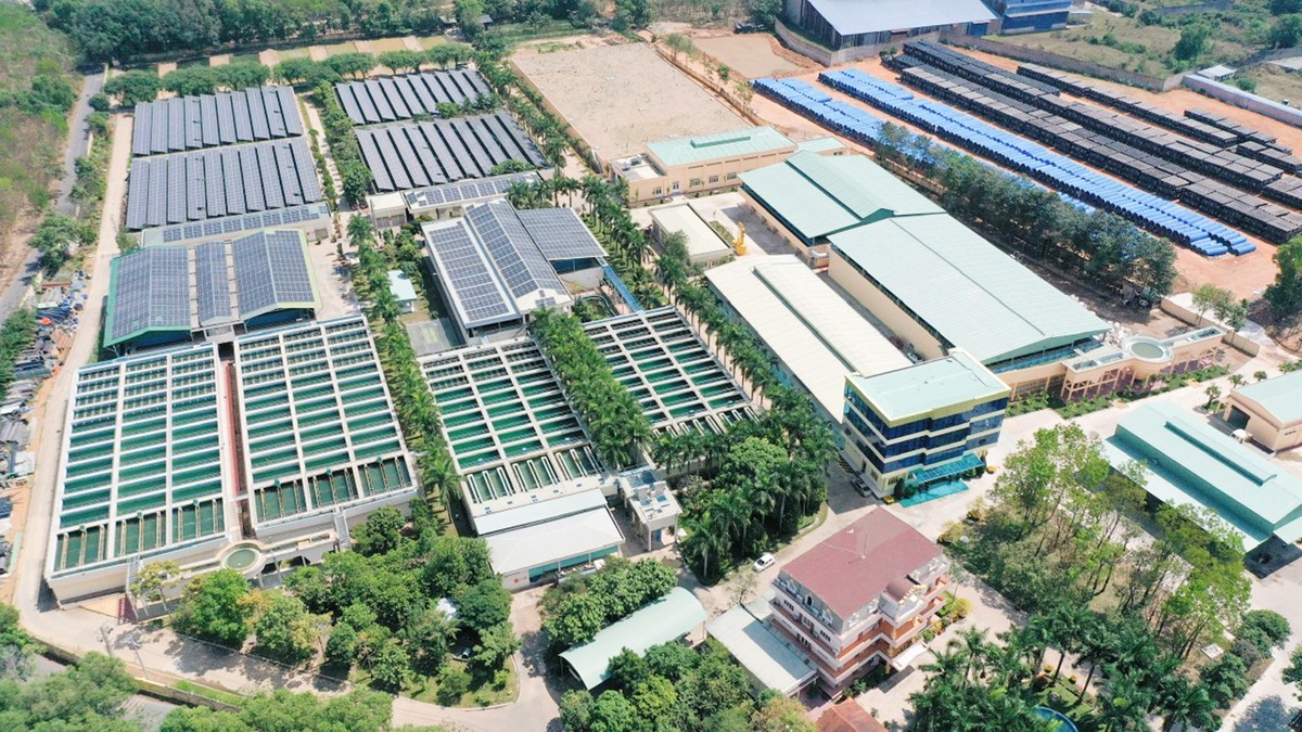 Biwase không ngừng phát triển kinh doanh trong ba lĩnh vực cốt lõi là cấp nước, xử lý rác thải, nước thải Biwase không ngừng phát triển kinh doanh trong ba lĩnh vực cốt lõi là cấp nước, xử lý rác thải, nước thải