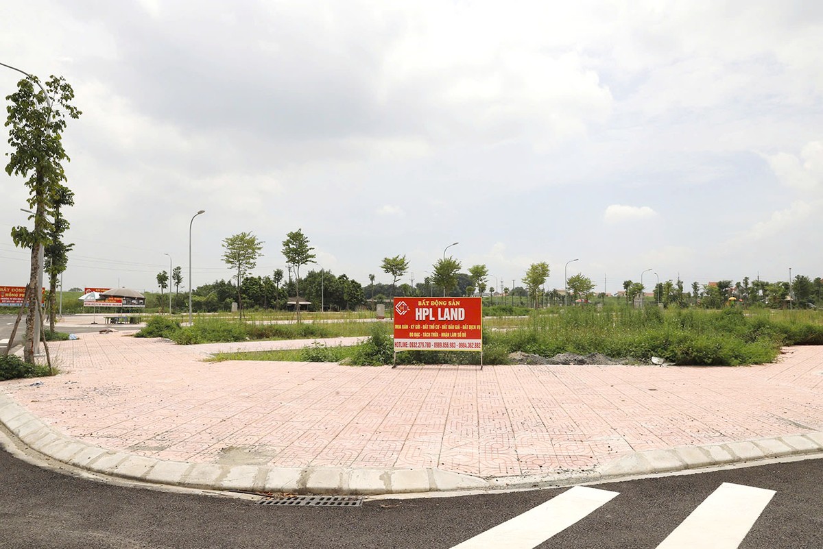 Mức giá đất cao đột biến có thể tạo ra xu hướng đầu cơ đất đai, khi nhiều người đổ xô mua đất với hy vọng kiếm lợi nhuận từ việc giá đất tiếp tục tăng trong tương lai. Mức giá đất cao đột biến có thể tạo ra xu hướng đầu cơ đất đai, khi nhiều người đổ xô mua đất với hy vọng kiếm lợi nhuận từ việc giá đất tiếp tục tăng trong tương lai.