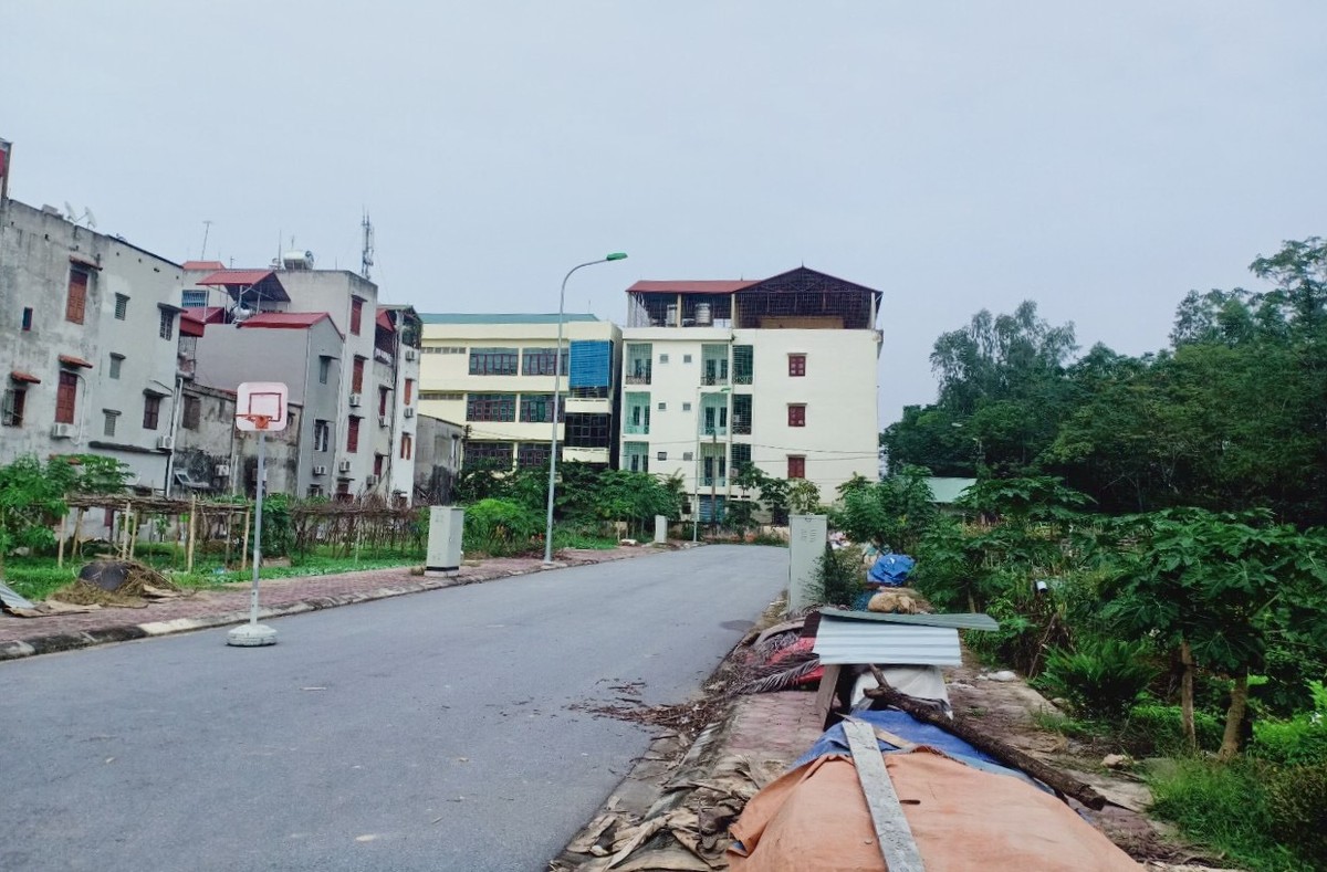 Hạ tầng xung quanh khu vực đất đấu giá Sau Chùa (phường Yên Nghĩa). Ảnh: nhân vật cung cấp Hạ tầng xung quanh khu vực đất đấu giá Sau Chùa (phường Yên Nghĩa). Ảnh: nhân vật cung cấp