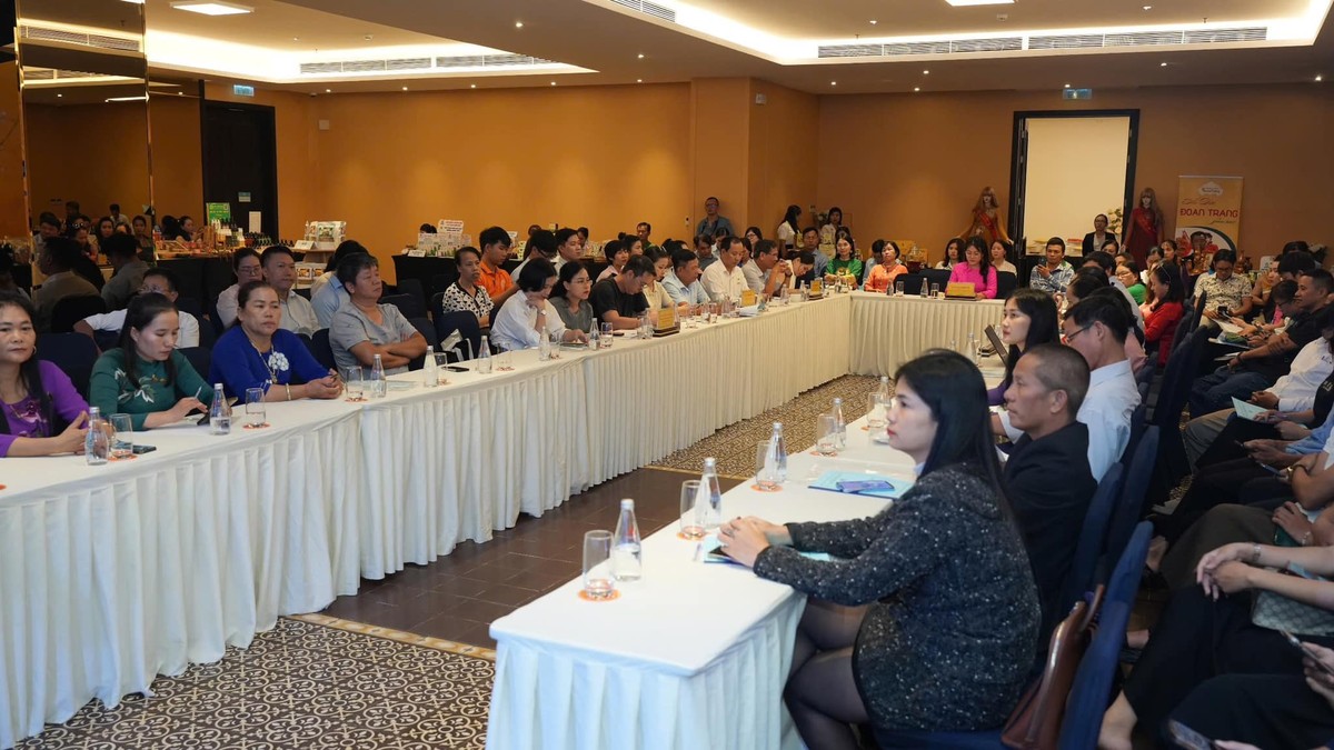 Toàn cảnh Hội nghị Toàn cảnh Hội nghị