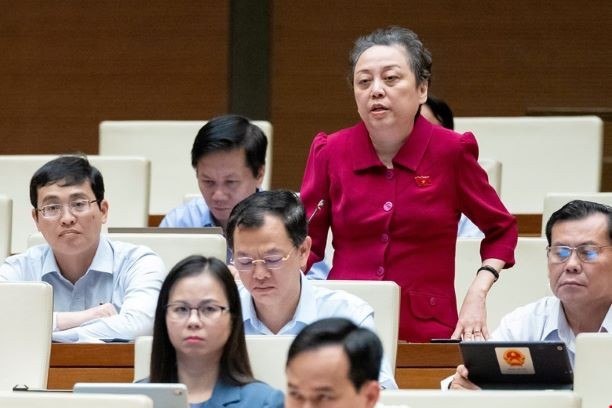 Đại biểu Phạm Khánh Phong Lan (TP.HCM). Đại biểu Phạm Khánh Phong Lan (TP.HCM).