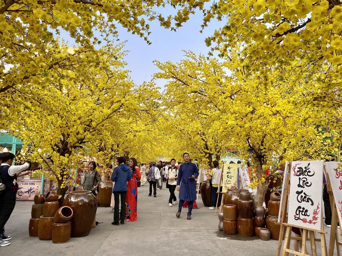 Người dân và du khách chụp ảnh kỷ niệm trên con đường mai vàng ở Lễ hội Tết Việt 2025.