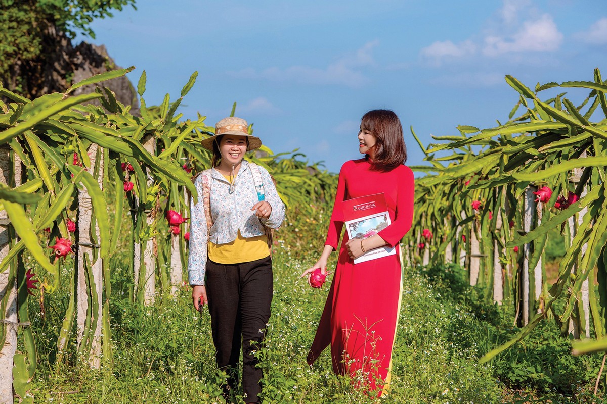 Năm 2024, Agribank đã cung ứng ra thị trường 1,7 triệu tỷ đồng vốn tín dụng, tập trung vào lĩnh vực nông nghiệp, nông thôn, nông dân Năm 2024, Agribank đã cung ứng ra thị trường 1,7 triệu tỷ đồng vốn tín dụng, tập trung vào lĩnh vực nông nghiệp, nông thôn, nông dân