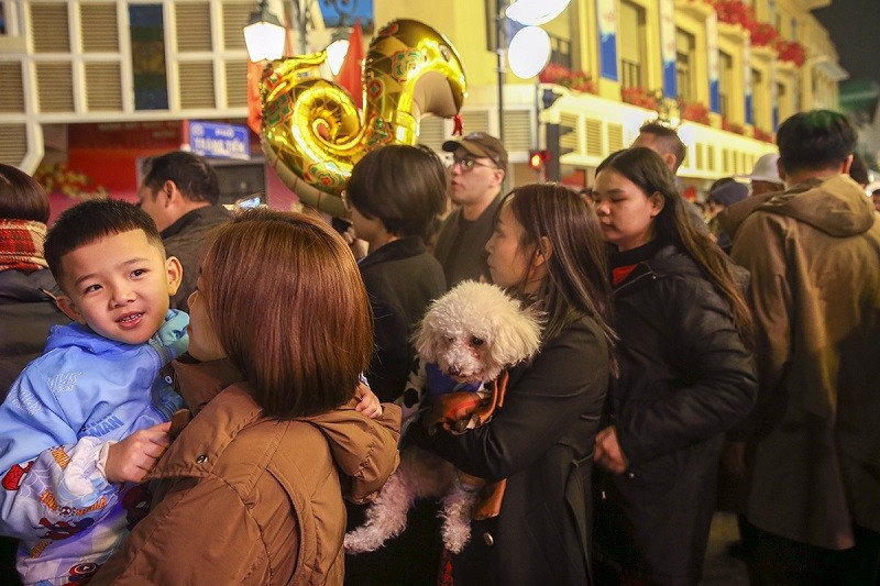 Không chỉ các em bé được bố mẹ đưa đi chơi giao thừa, những chú thú cưng cũng được chủ nhân cho đi chơi Tết Không chỉ các em bé được bố mẹ đưa đi chơi giao thừa, những chú thú cưng cũng được chủ nhân cho đi chơi Tết