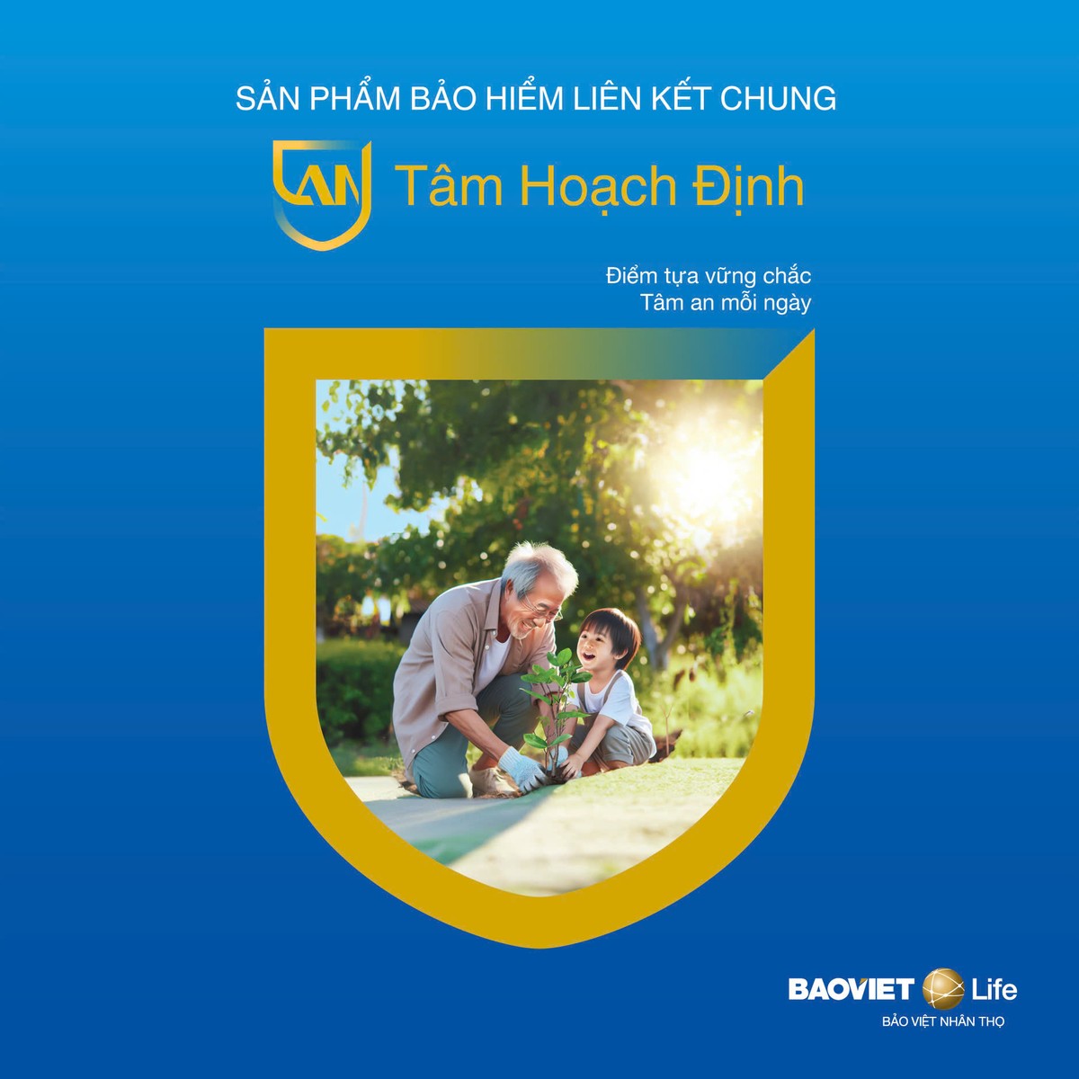 Bên cạnh các quyền lợi về tiết kiệm và đầu tư, An Tâm Hoạch Định vẫn sẽ đảm bảo quyền lợi bảo vệ trước rủi ro tử vong và thương tật toàn bộ vĩnh viễn .