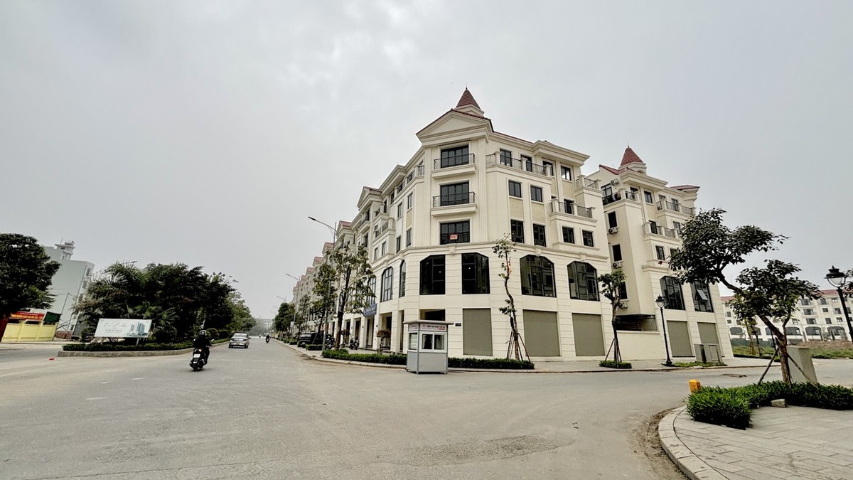 Dù giá bán đắt đỏ là vậy nhưng giá thuê cả căn nhà diện tích 100 m2, 5 tầng, chỉ dừng ở mức 26 triệu đồng/tháng. Nếu chỉ thuê riêng tầng 1, mức giá sẽ là 12 - 13 triệu đồng/tháng. Theo quan sát của phóng viên, phân khu này hiện vẫn khá vắng vẻ, lượng người chuyển đến sinh sống chưa nhiều. Dù giá bán đắt đỏ là vậy nhưng giá thuê cả căn nhà diện tích 100 m2, 5 tầng, chỉ dừng ở mức 26 triệu đồng/tháng. Nếu chỉ thuê riêng tầng 1, mức giá sẽ là 12 - 13 triệu đồng/tháng. Theo quan sát của phóng viên, phân khu này hiện vẫn khá vắng vẻ, lượng người chuyển đến sinh sống chưa nhiều.