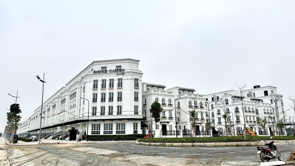 Hiện chủ đầu tư đang đưa ra giá thuê cho những căn liền kề xây thô là 30 - 35 triệu đồng/tháng. Với những căn đã hoàn thiện nội thất cơ bản, được lắp đặt thang máy, điều hòa…, giá thuê khoảng 80 - 120 triệu đồng/tháng. Đây vẫn chưa phải là mức giá cuối, khách hàng có thể tiếp tục đàm phán để hạ giá. Hiện chủ đầu tư đang đưa ra giá thuê cho những căn liền kề xây thô là 30 - 35 triệu đồng/tháng. Với những căn đã hoàn thiện nội thất cơ bản, được lắp đặt thang máy, điều hòa…, giá thuê khoảng 80 - 120 triệu đồng/tháng. Đây vẫn chưa phải là mức giá cuối, khách hàng có thể tiếp tục đàm phán để hạ giá.