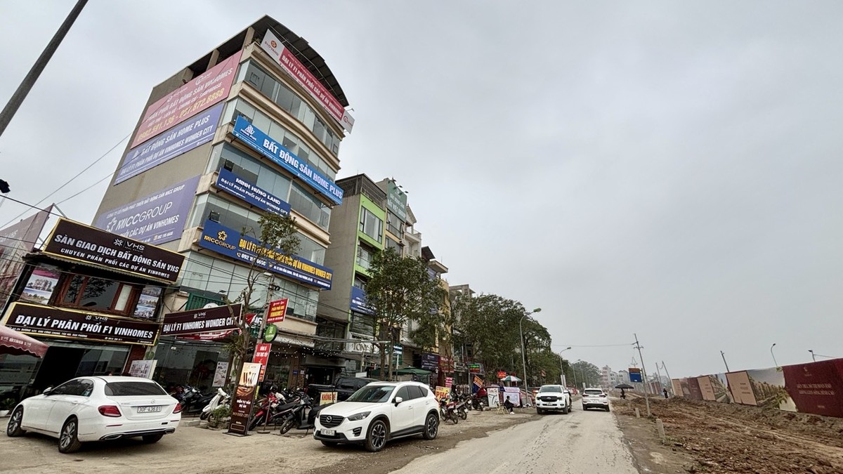 Những căn nhà có mặt tiền hướng ra dự án đang được rao bán với giá 344 triệu đồng/m2. Hiện các sàn địa ốc đang thuê lại toàn bộ căn nhà với giá 40 - 50 triệu đồng/tháng. Hầu hết ngôi nhà đều có diện tích 60 m2 và cao từ 5 - 6 tầng.