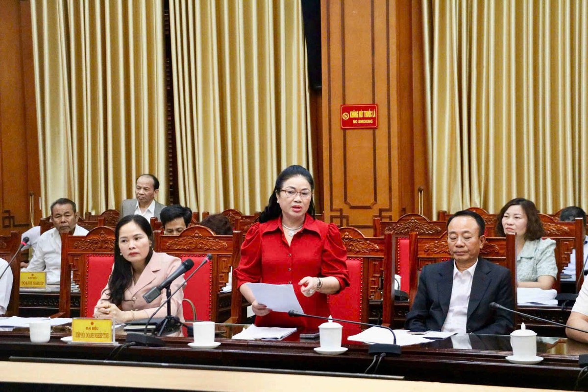 Bà Vũ Thị Thà, Chủ tịch HĐQT Công ty cổ phần Đầu tư Xuất nhập khẩu Thăng Long phát biểu tại hội nghị Bà Vũ Thị Thà, Chủ tịch HĐQT Công ty cổ phần Đầu tư Xuất nhập khẩu Thăng Long phát biểu tại hội nghị