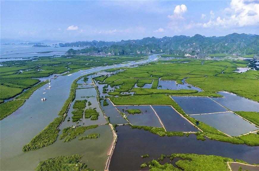 Hải Phòng đề xuất thí điểm cơ chế tài chính thực hiện biện pháp giảm phát thải khí nhà kính theo các cơ chế trao đổi, bù trừ tín chỉ các-bon. Hải Phòng đề xuất thí điểm cơ chế tài chính thực hiện biện pháp giảm phát thải khí nhà kính theo các cơ chế trao đổi, bù trừ tín chỉ các-bon.
