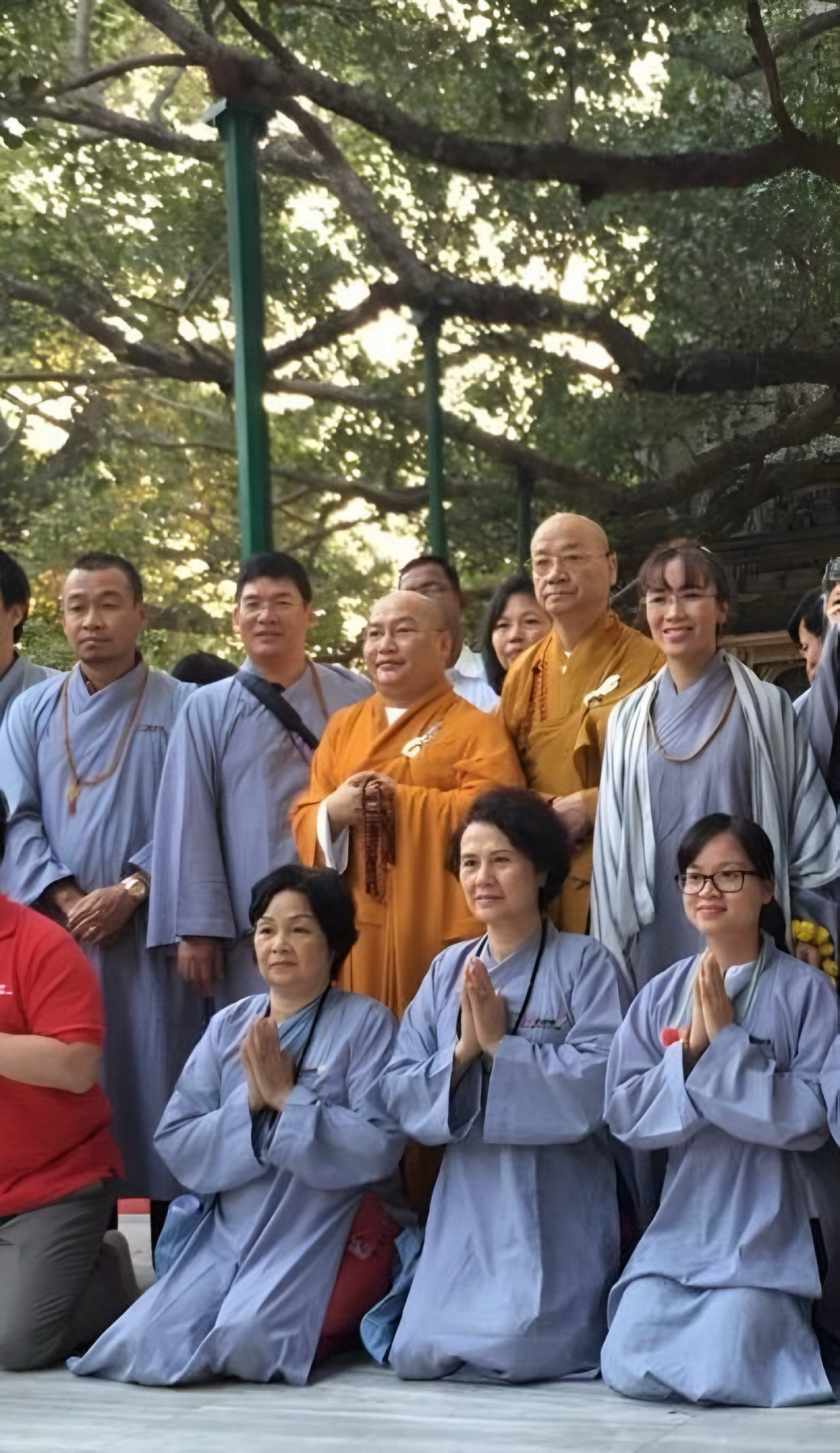 Bà Nguyễn Thị Phương Thảo dưới bóng cây Bồ đề Bà Nguyễn Thị Phương Thảo dưới bóng cây Bồ đề