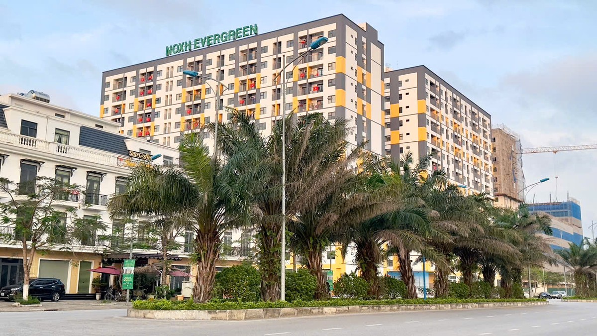 Nhà ở xã hội Dự án nhà ở xã hội Evergreen Tràng Duệ có vị trí nằm ngay cạnh Khu công nghiệp Tràng Duệ, Hải Phòng. Ảnh: Quỳnh Nga