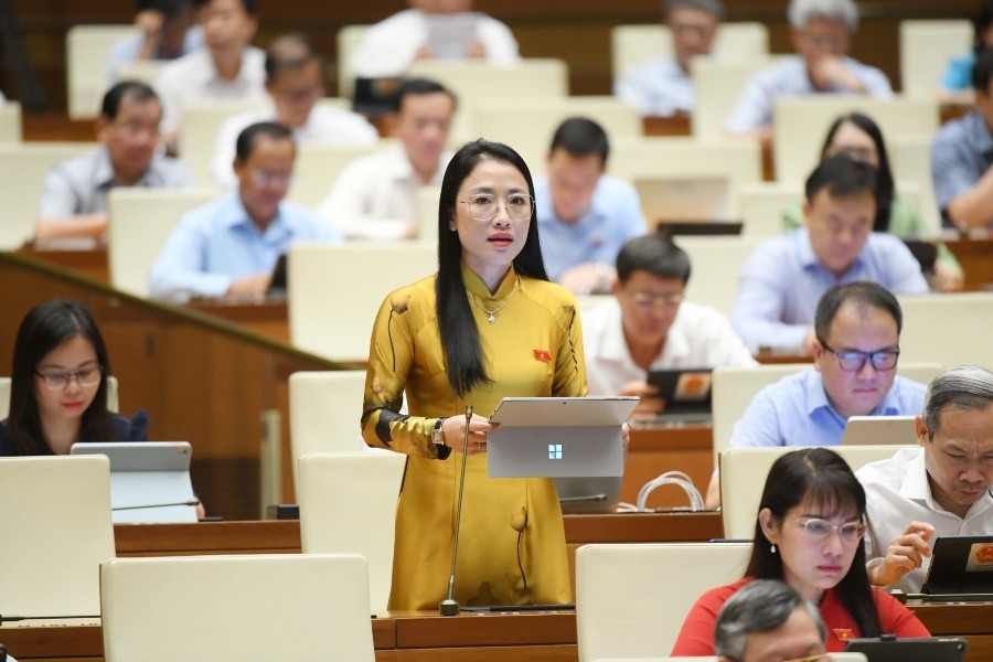 Đại biểu Trần Khánh Thu (Thái Bình) Đại biểu Trần Khánh Thu (Thái Bình)